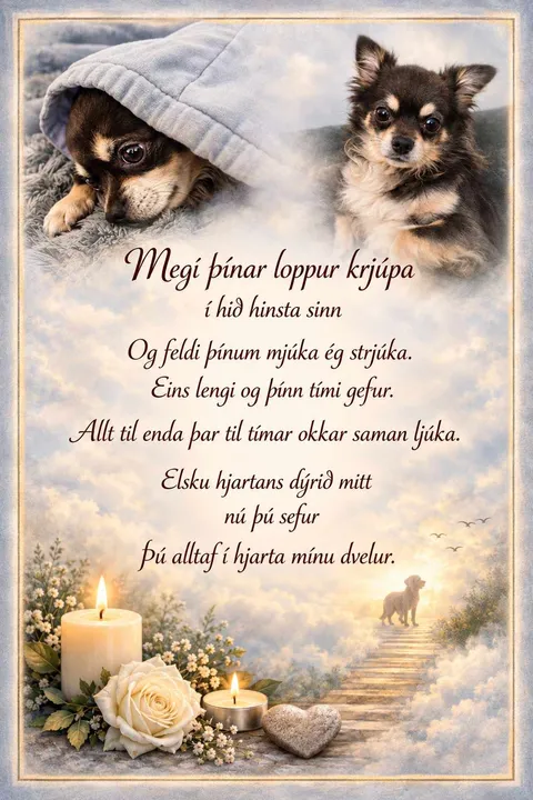 Segul mynd - Image 3